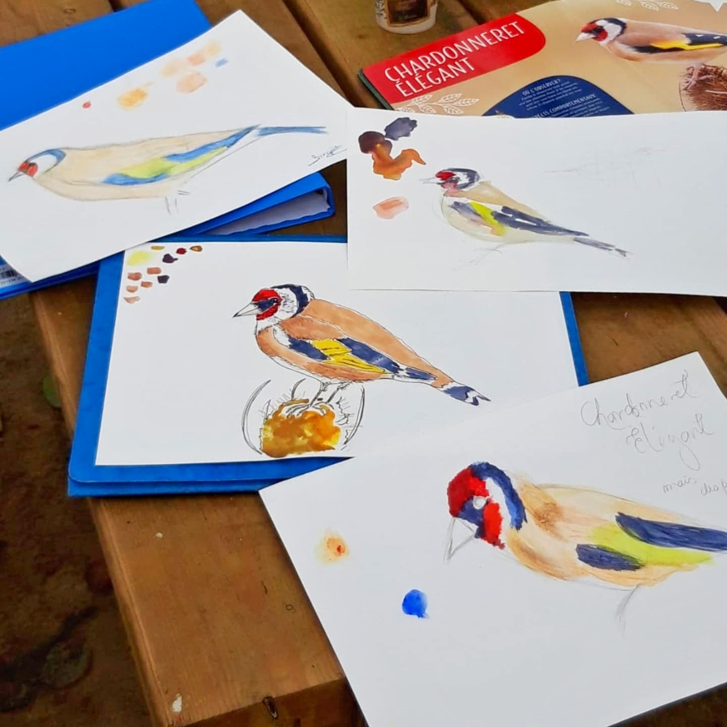 IMG_20241214_201103_804-01