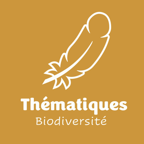 biodiv