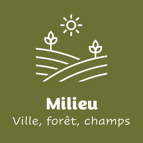 Milieu ville foret champ